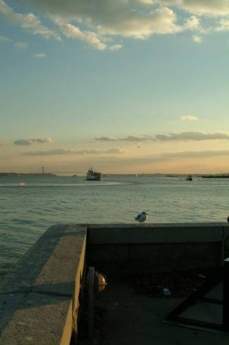 NYC_2006-12-05 15-49-51